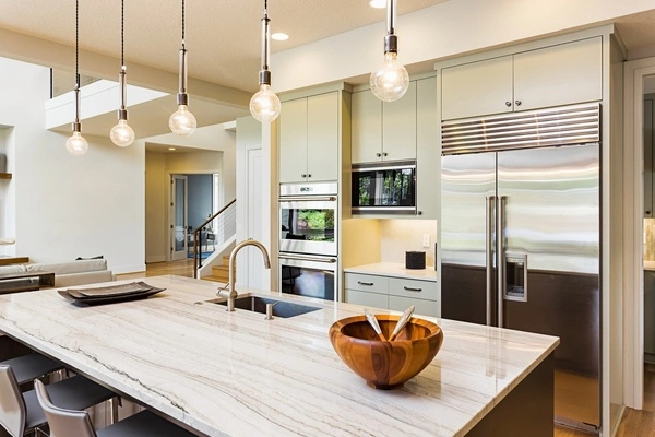 Professional remodeler Professional remodeler